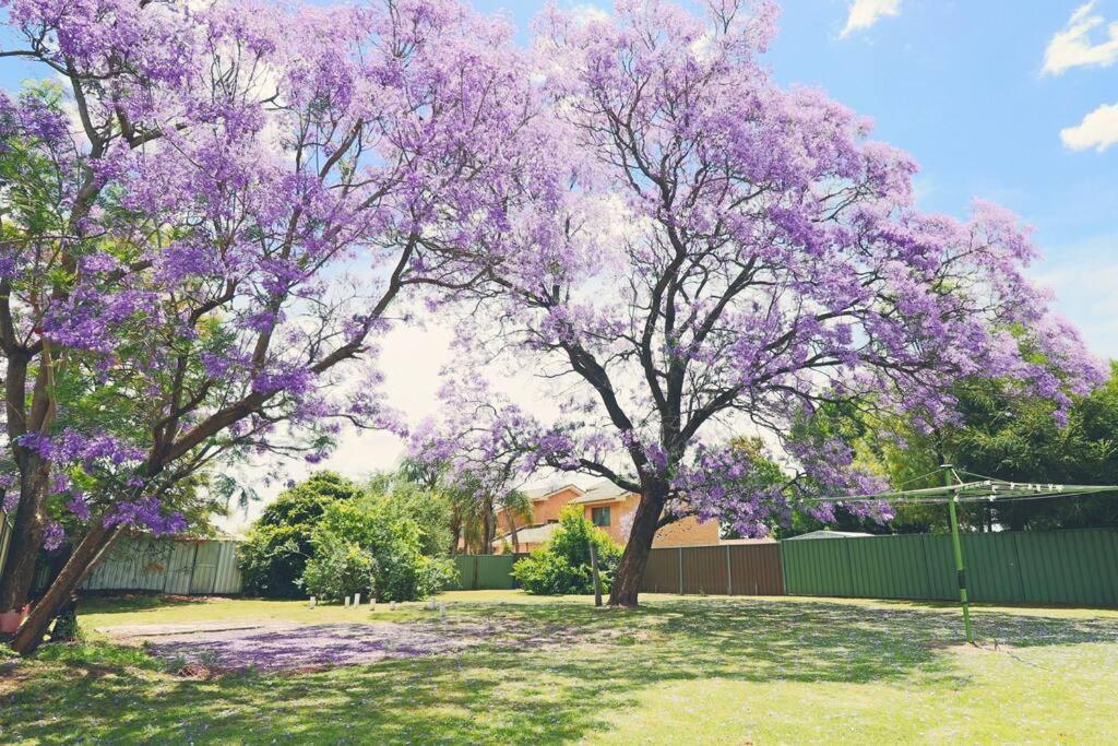 Jacaranda Cottage Dubbo Exterior foto